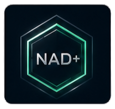 NAD+